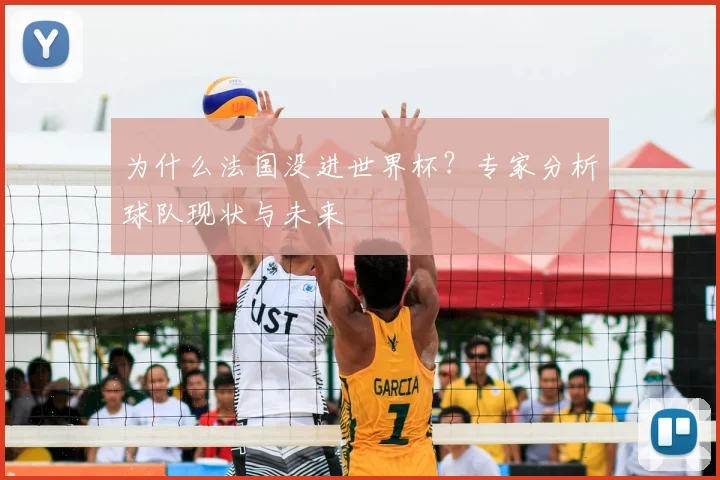 为什么法国没进世界杯?专家分析球队现状与未来