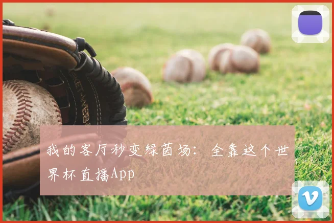 我的客厅秒变绿茵场:全靠这个世界杯直播App