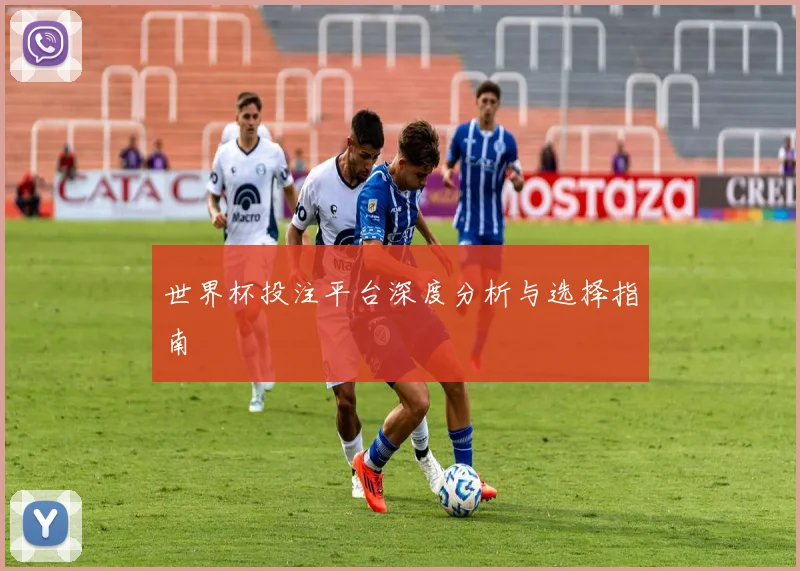 世界杯投注平台深度分析与选择指南