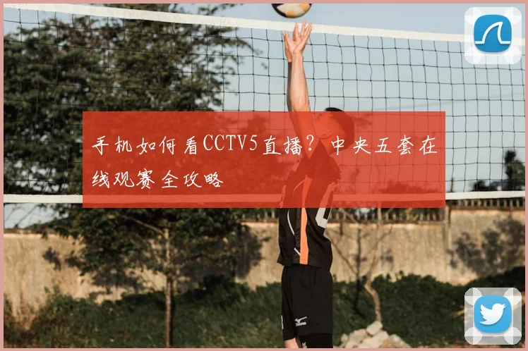手机如何看CCTV5直播？中央五套在线观赛全攻略